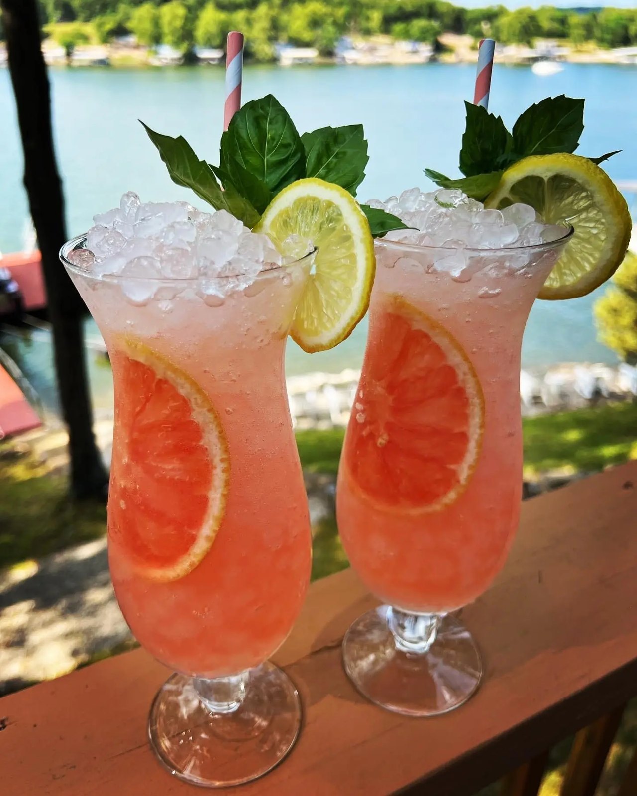 Two grapefruit cocktails with mint and lemon, lake in the background